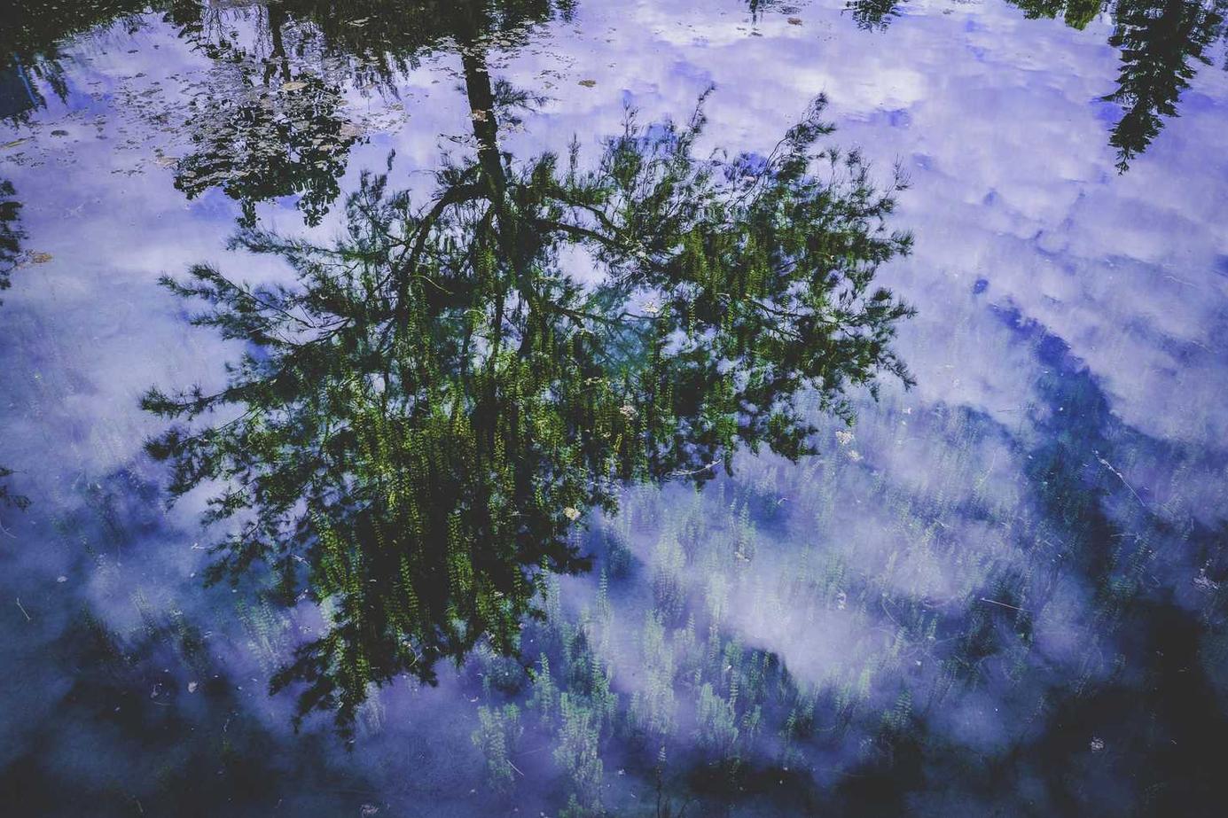 Est omnis qui maiores qui cumque ratione